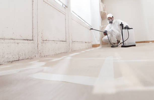 Black mold remediation team in Port Trevorton